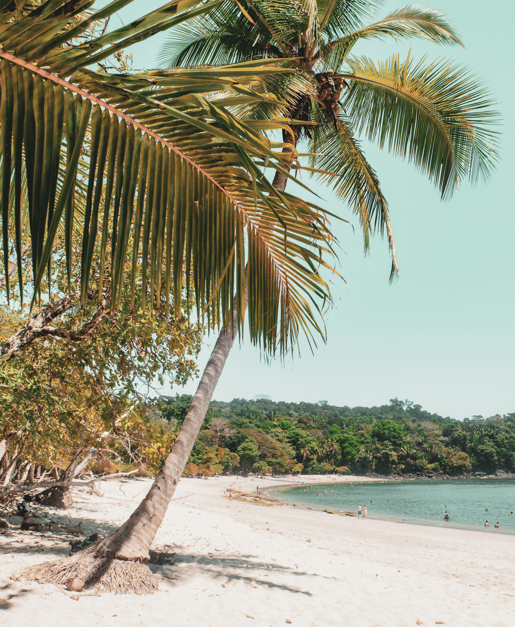 Happiest Sober in Costa Rica: Volcanoes, Wildlife & Beaches with ...